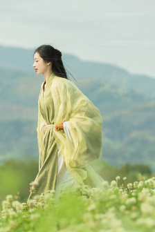 求yy黄频道